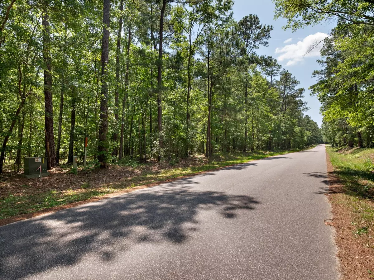 Elloree, SC 29047,10 Hickory Landing Ct
