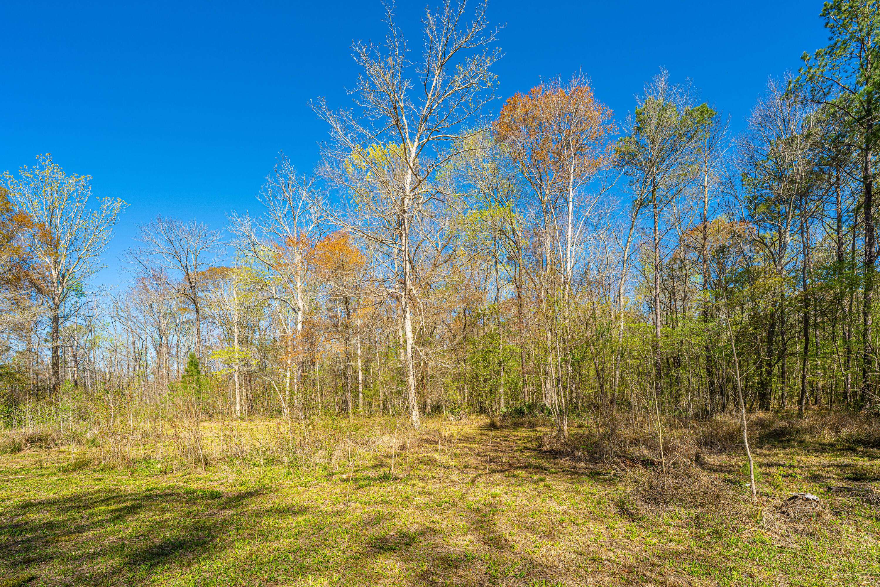 Moncks Corner, SC 29461,0 Nehemiah