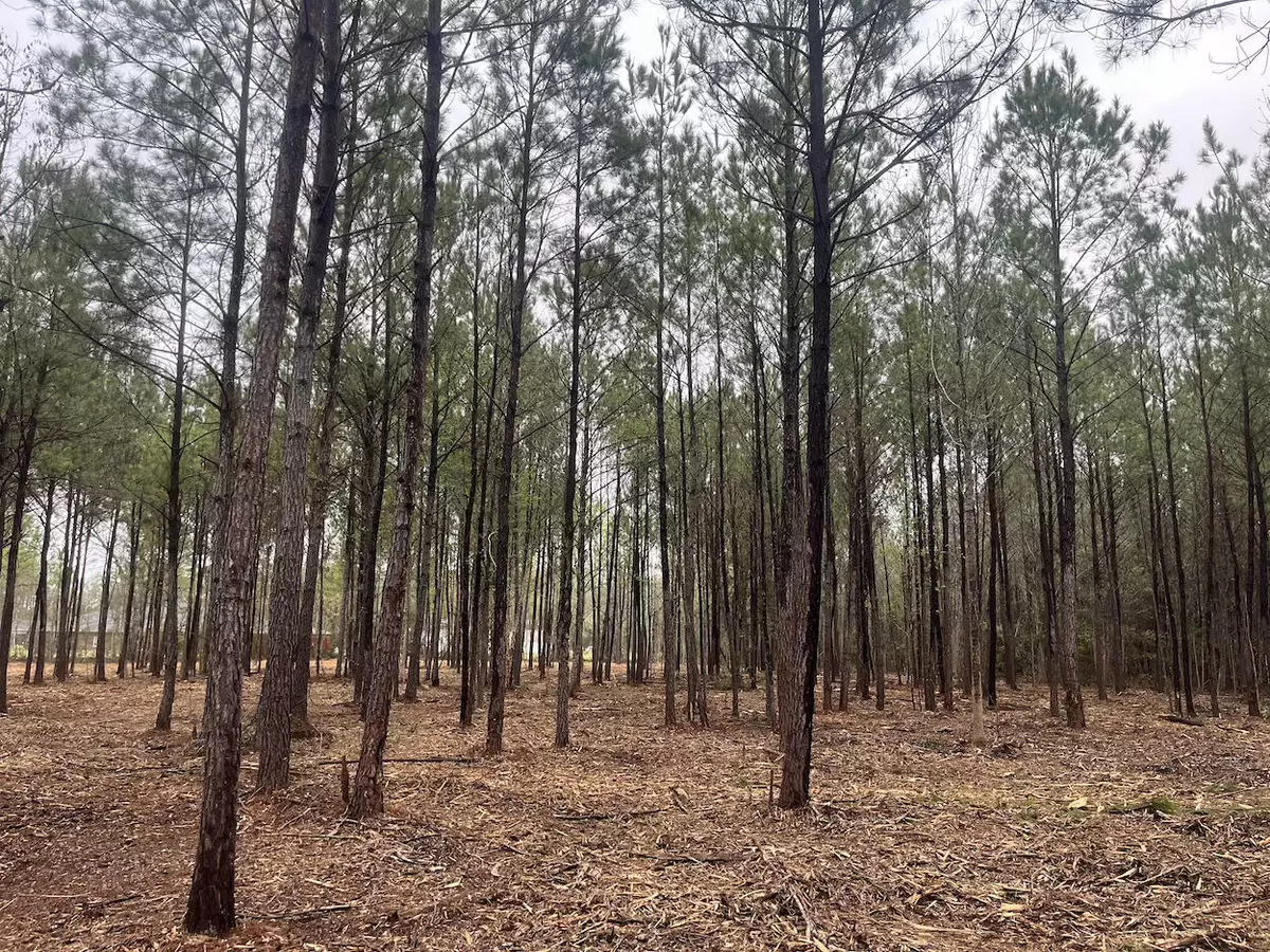 Cottageville, SC 29435,0 Praxis Ct