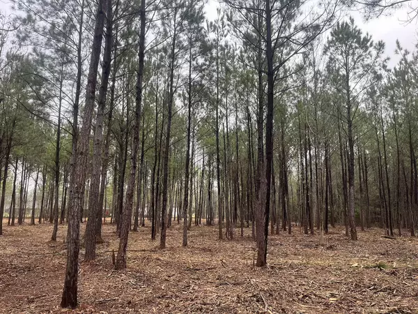 0 Praxis Ct, Cottageville, SC 29435