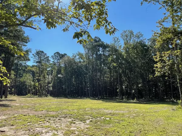 Summerville, SC 29486,113 Gen Estates Ln