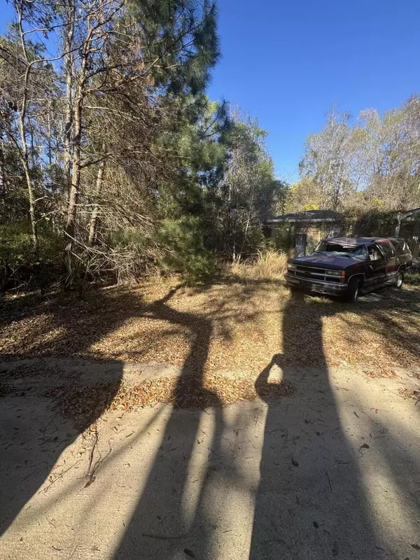 Mount Pleasant, SC 29429,1066 Fred Ravenel Rd