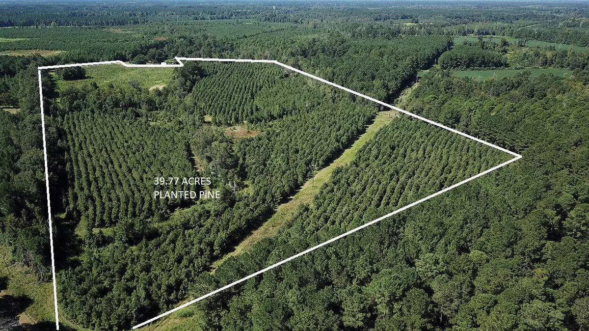 Smoaks, SC 29481,00 Fralix