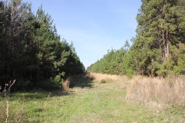 Smoaks, SC 29481,00 Fralix