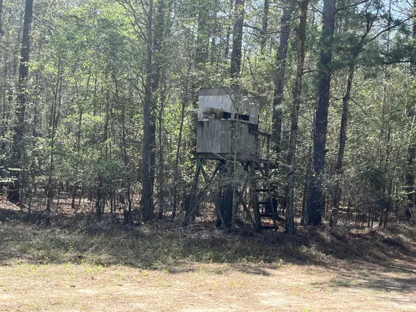 Cope, SC 29038,000 Jameson Farm Rd