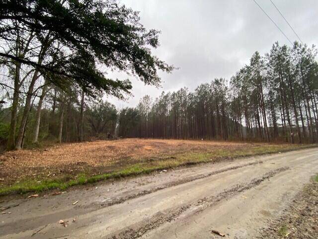 Manning, SC 29102,0 Weeping Cherry Ln