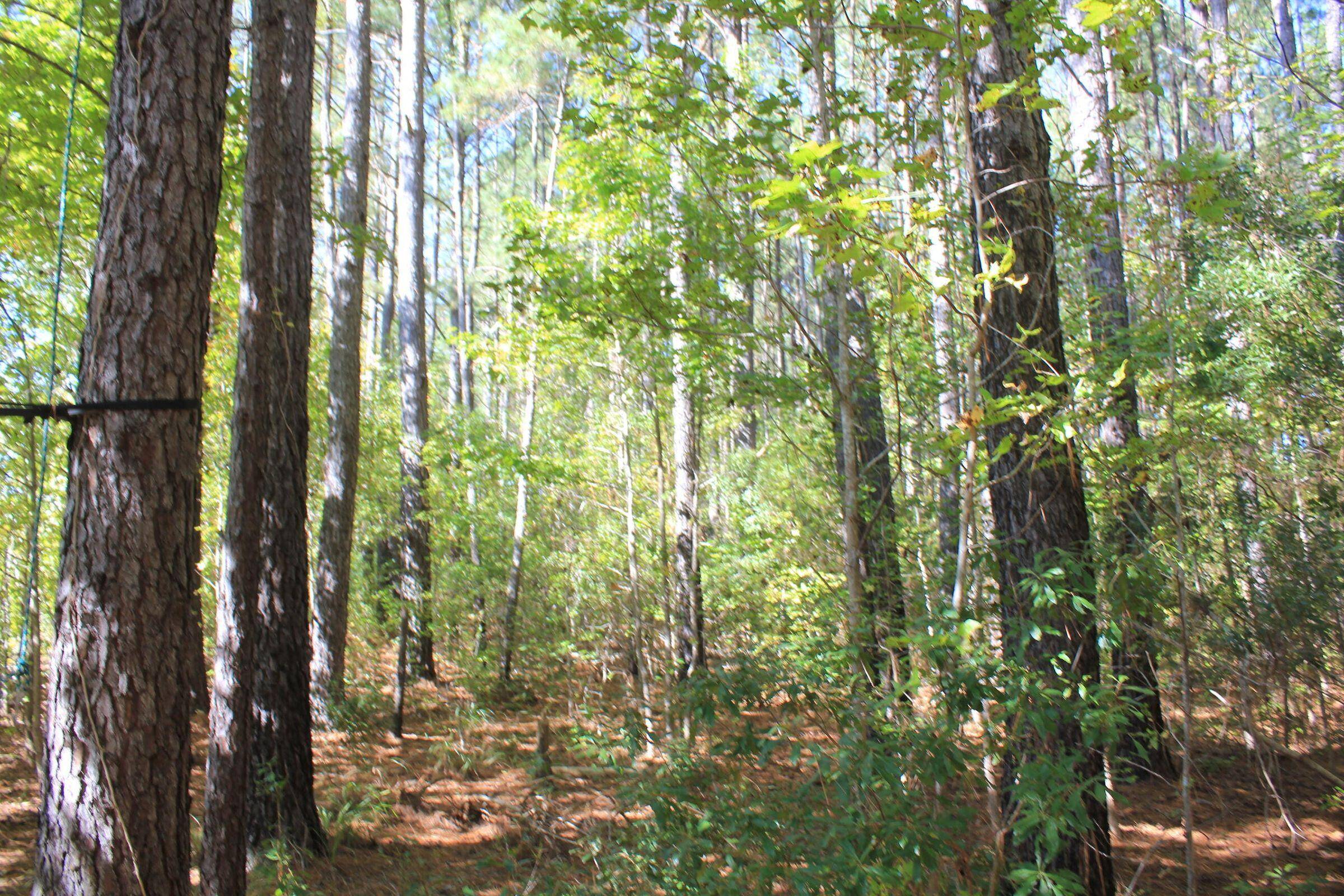 Ridgeville, SC 29472,1459 Carter Rd