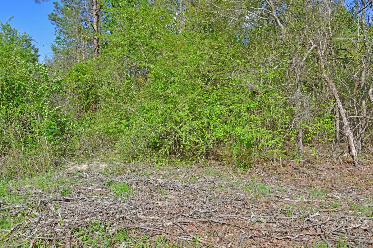 Saint Matthews, SC 29135,0 Ridgelake(Lot 12) Cir