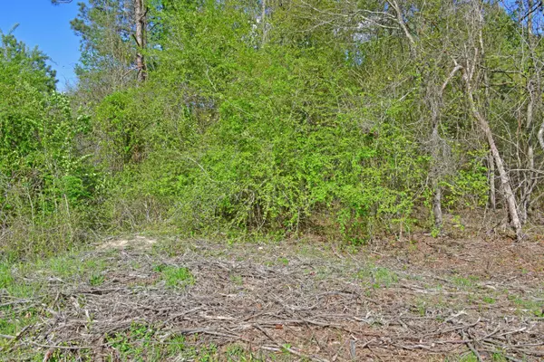 0 Ridgelake(Lot 12) Cir, Saint Matthews, SC 29135