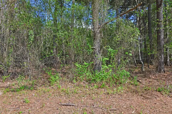 Saint Matthews, SC 29135,0 Ridgelake(15-A,15-B) Cir