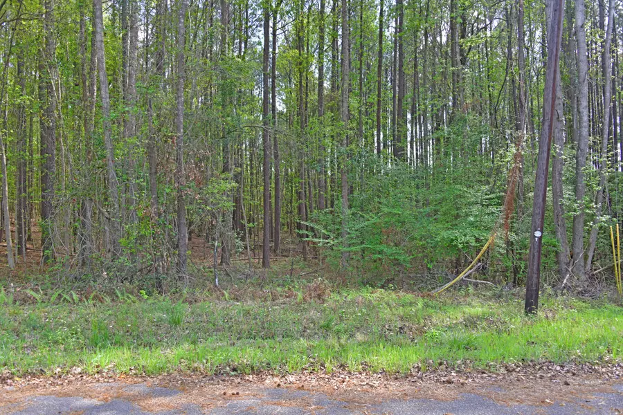 0 Ridgelake(Lot 29), Saint Matthews, SC 29135