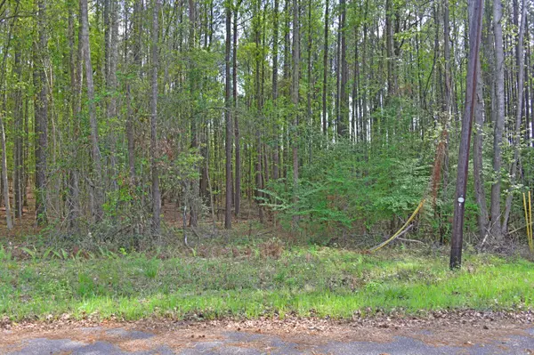 0 Ridgelake(Lot 29), Saint Matthews, SC 29135