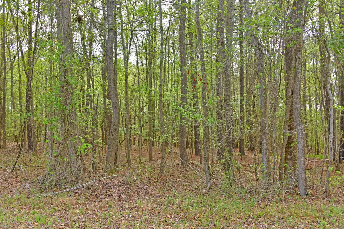 Saint Matthews, SC 29135,0 Ridgelake(Lot 35) Cir