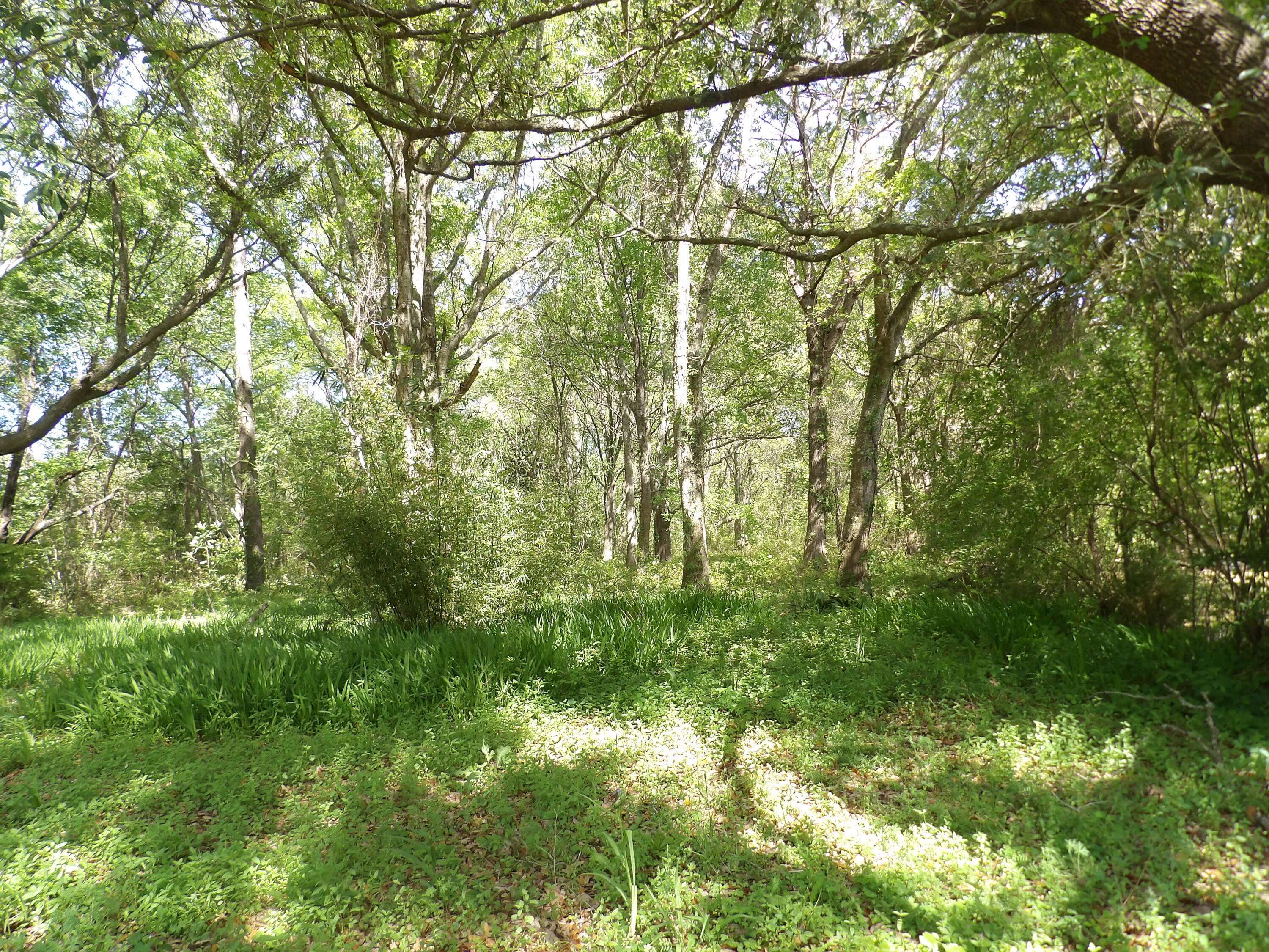 Charleston, SC 29412,1558 Scott Hill Rd