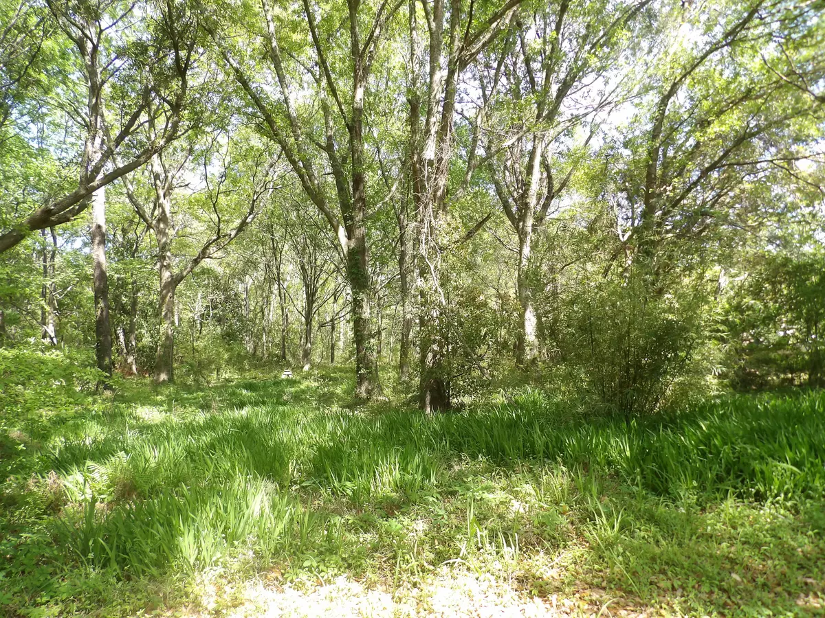 Charleston, SC 29412,1558 Scott Hill Rd