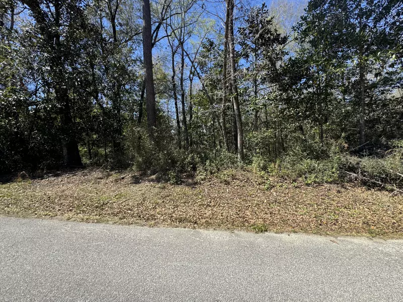 6 Dowling Ave, Walterboro, SC 29488