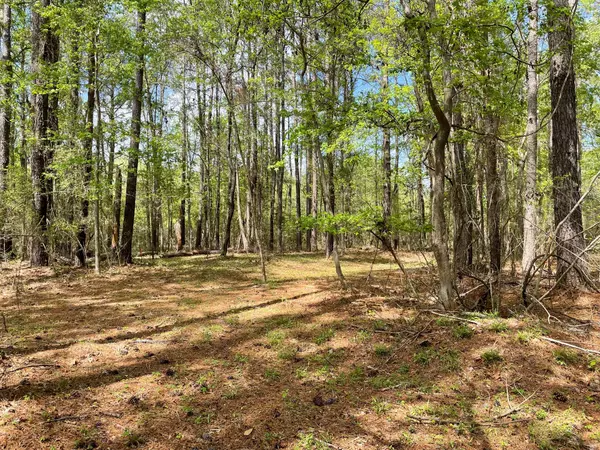 Meggett, SC 29449,4831 Walking Horse Rd