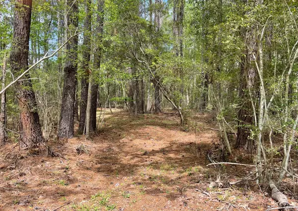 Meggett, SC 29449,4831 Walking Horse Rd