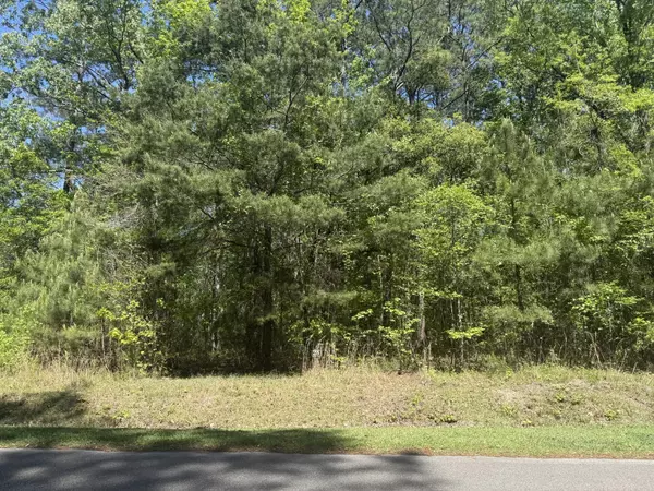 Ravenel, SC 29470,28 Buttonbush Dr