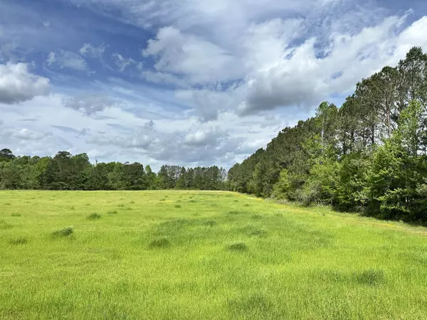 Pineville, SC 29468,2235 Highway 45