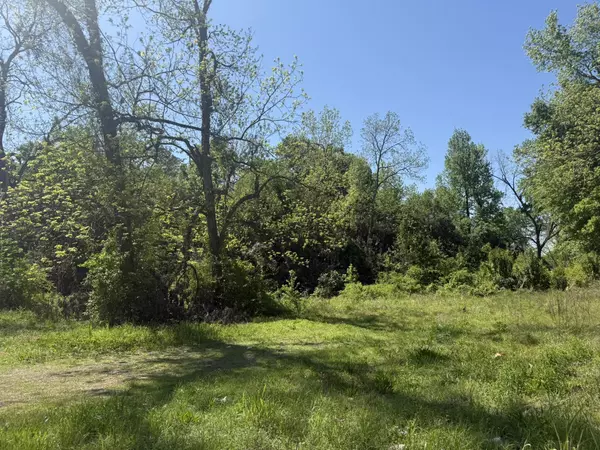 Orangeburg, SC 29115,411 Treadwell St