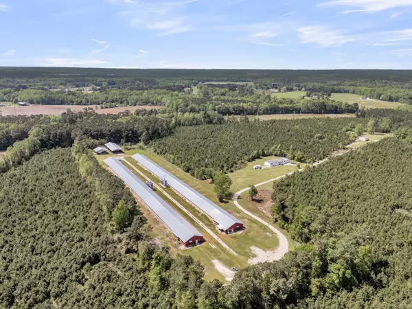 Saint George, SC 29477,152 Traxler Rd