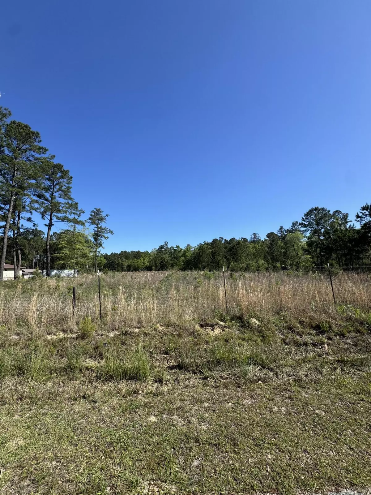 Bonneau, SC 29431,726 Spring Pond Rd