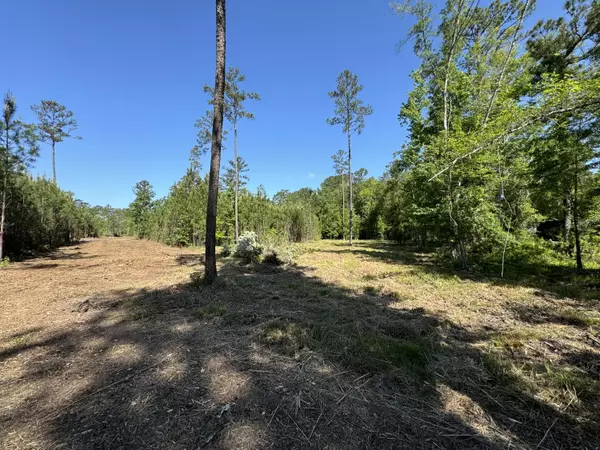 Summerville, SC 29483,0 Old Dairy Rd #Lot 1