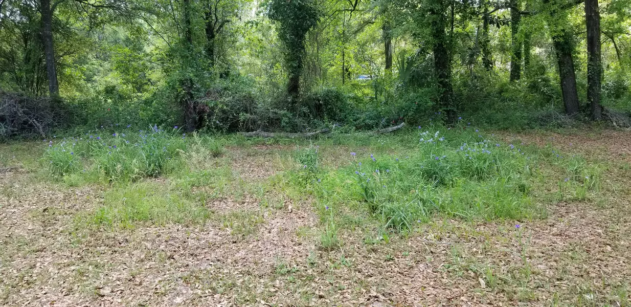 0 Rabb St, Walterboro, SC 29488