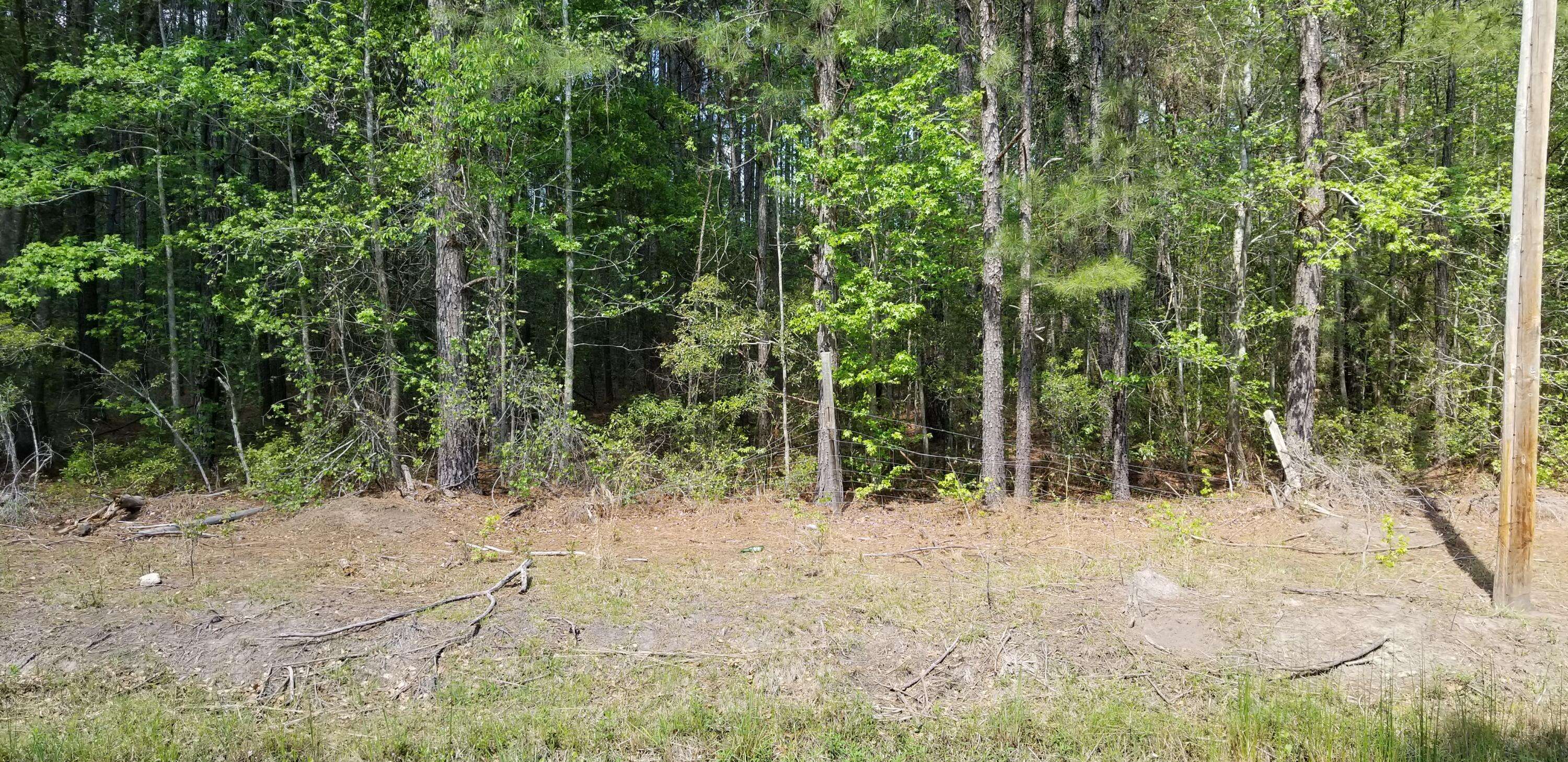 Walterboro, SC 29488,0 Rabb St