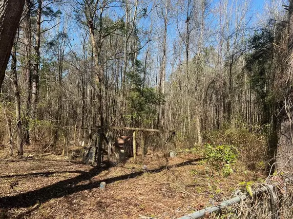 Hollywood, SC 29449,8527 Benjamin Simmons Rd