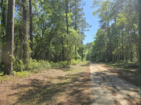Edisto Island, SC 29438,8 Chaplin Garden Ln