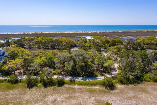 Edisto Beach, SC 29438,24 Moon Fever Ct