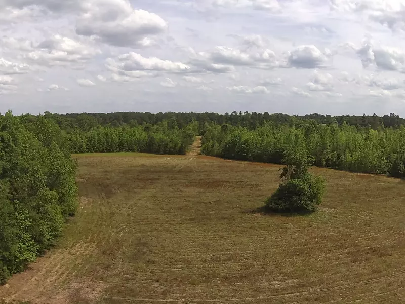 001 Alonzo Rd, Saint George, SC 29477