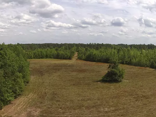 Saint George, SC 29477,001 Alonzo Rd