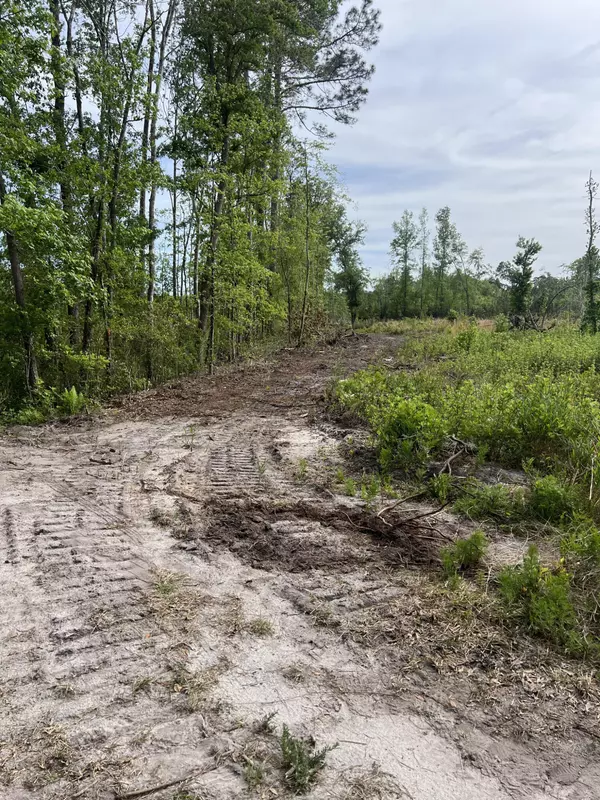 Walterboro, SC 29488,71 Herndon St #Tract B-6