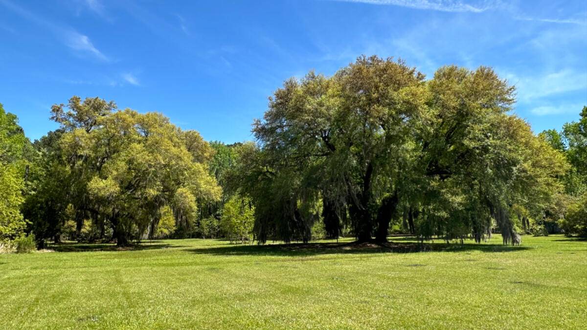 Johns Island, SC 29455,4911 Chisolm Rd