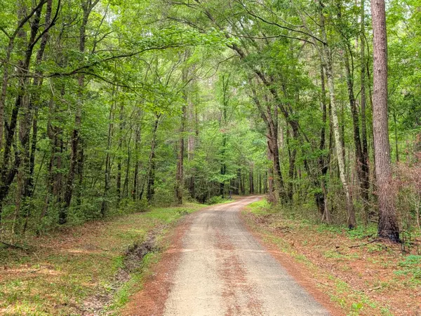 Shulerville, SC 29453,0 Dollys Ln