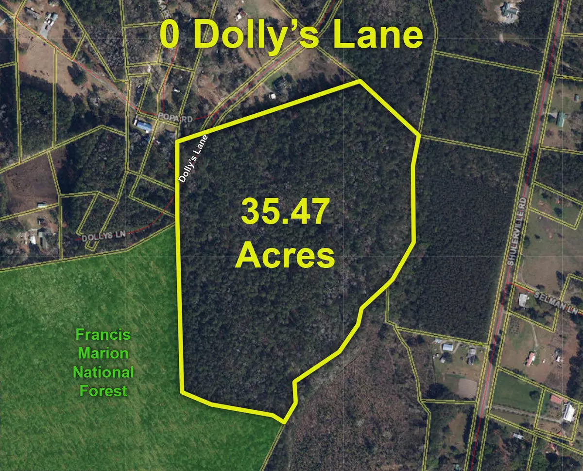 Shulerville, SC 29453,0 Dollys Ln