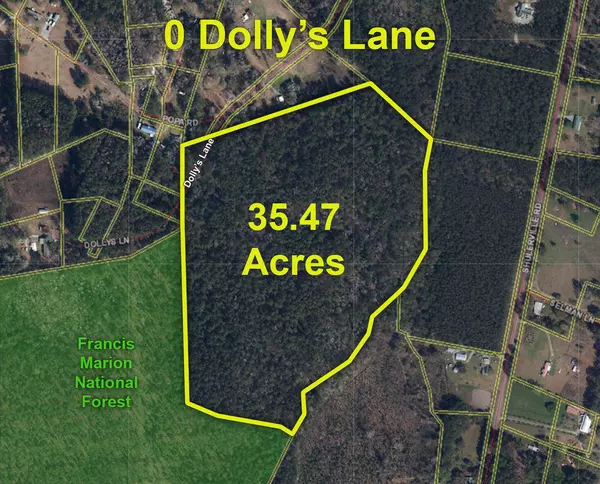 0 Dollys Ln, Shulerville, SC 29453
