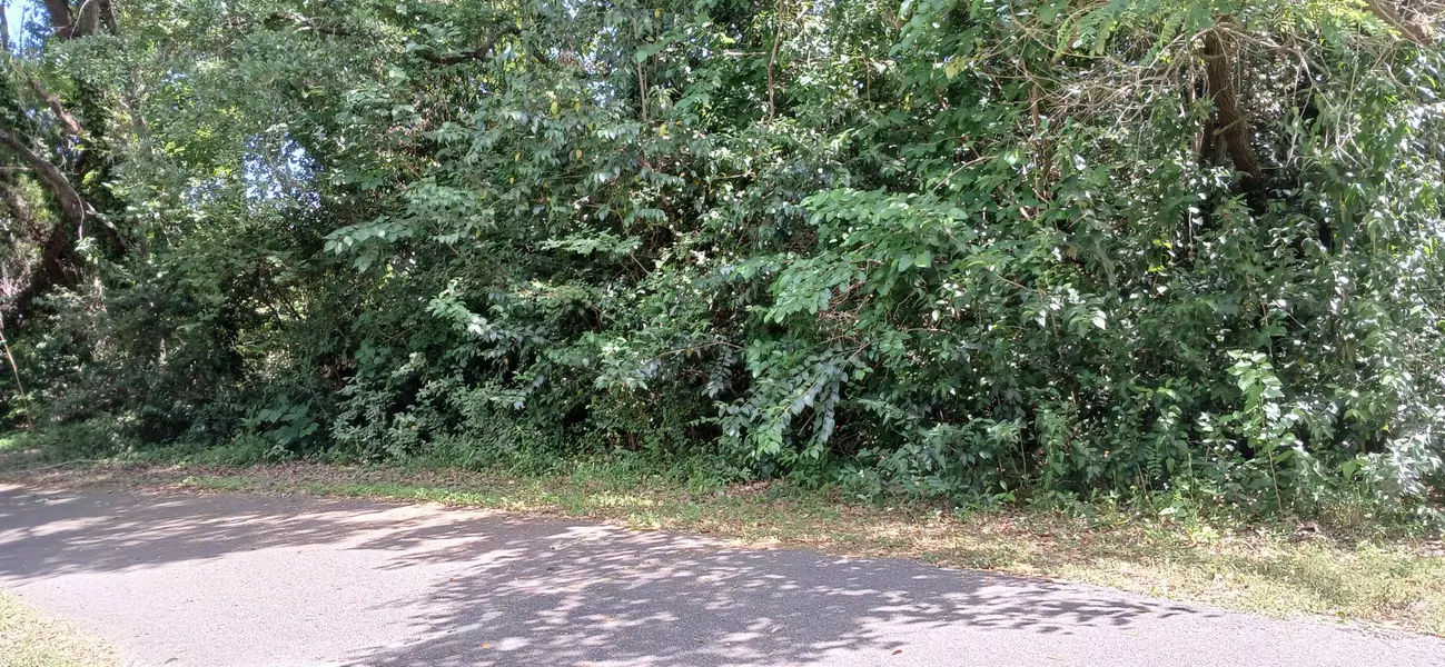 828 5th Ave, Charleston, SC 29407