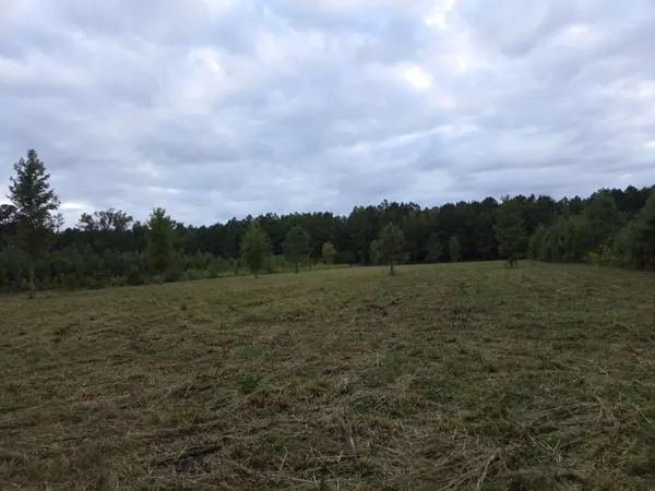 Reevesville, SC 29471,00 Flatwoods Rd