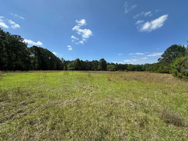 Hollywood, SC 29449,8441 Willtown Rd