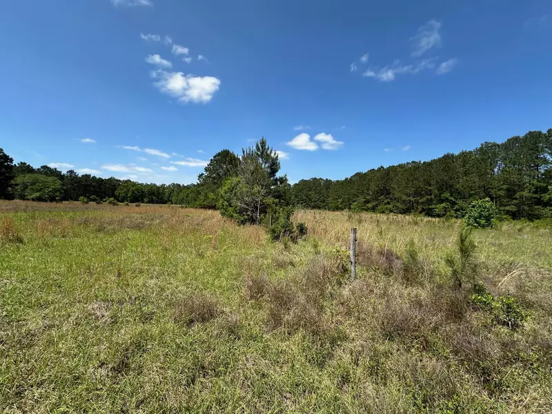 0 Willtown Rd, Hollywood, SC 29449