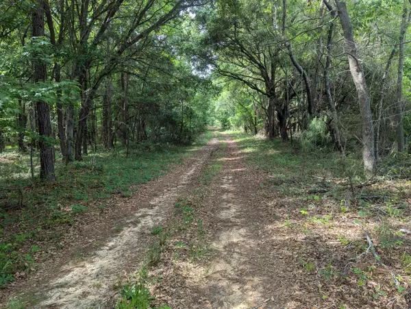 Summerton, SC 29148,3 Rogers Rd