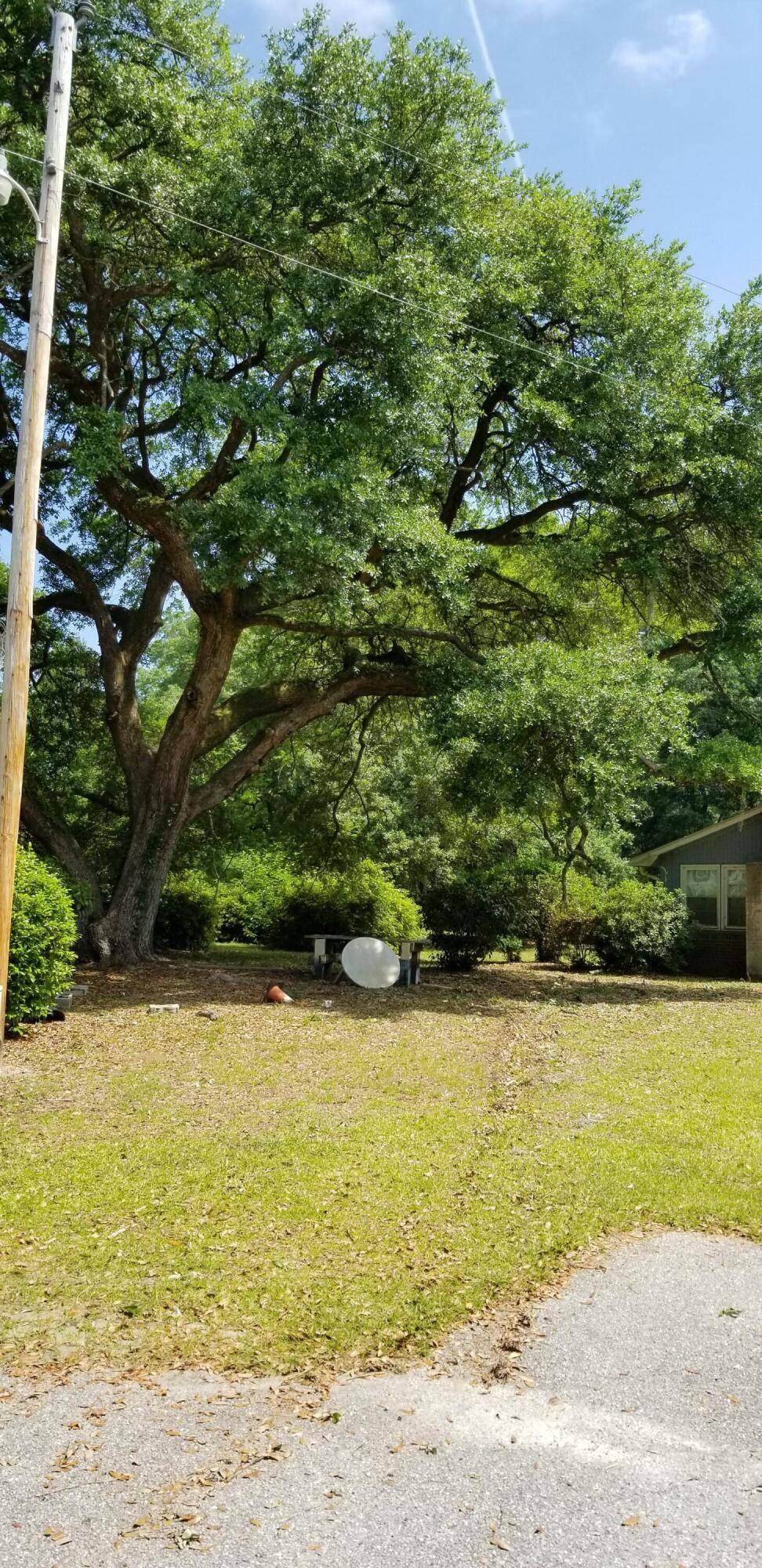 Walterboro, SC 29488,00 Brenda St