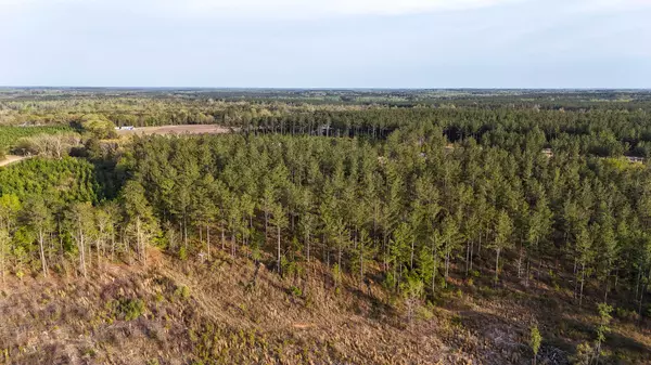 Williston, SC 29853,0 White Pond Rd