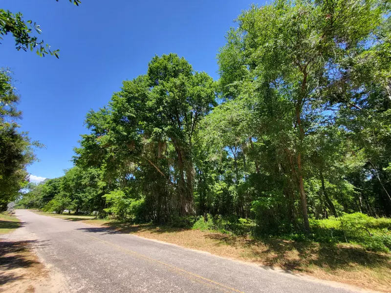 3485 Francis Marion Blvd, Summerton, SC 29148