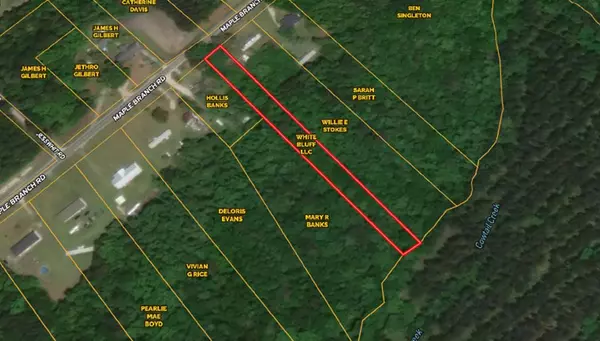 Reevesville, SC 29471,0 Maple Branch Rd #Road
