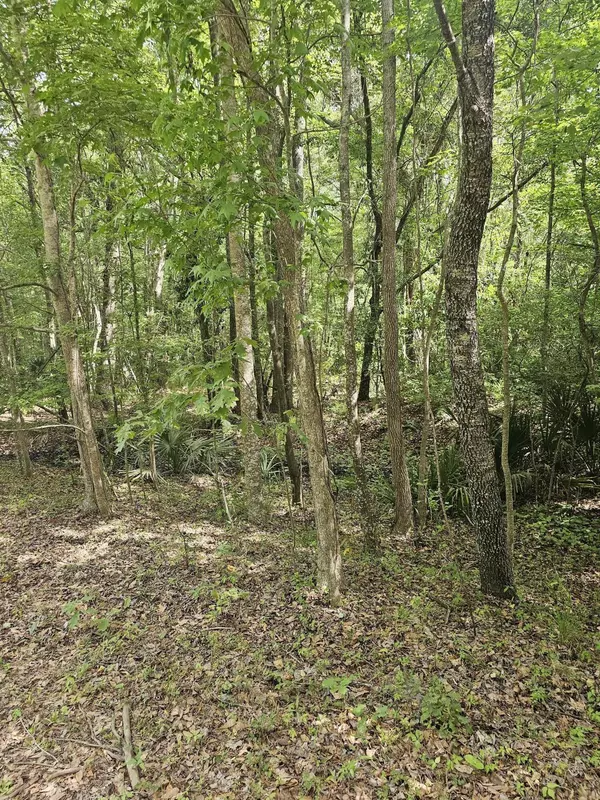 3910 Benjamin Rd, Johns Island, SC 29455